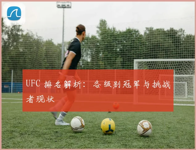 UFC 排名解析:各级别冠军与挑战者现状
