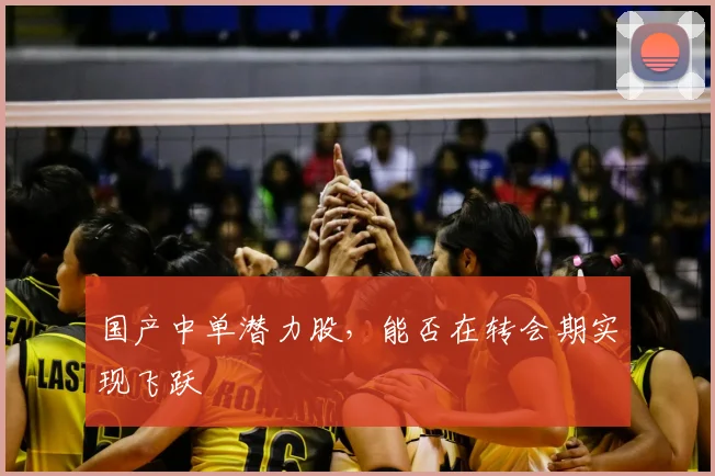 国产中单潜力股，能否在转会期实现飞跃